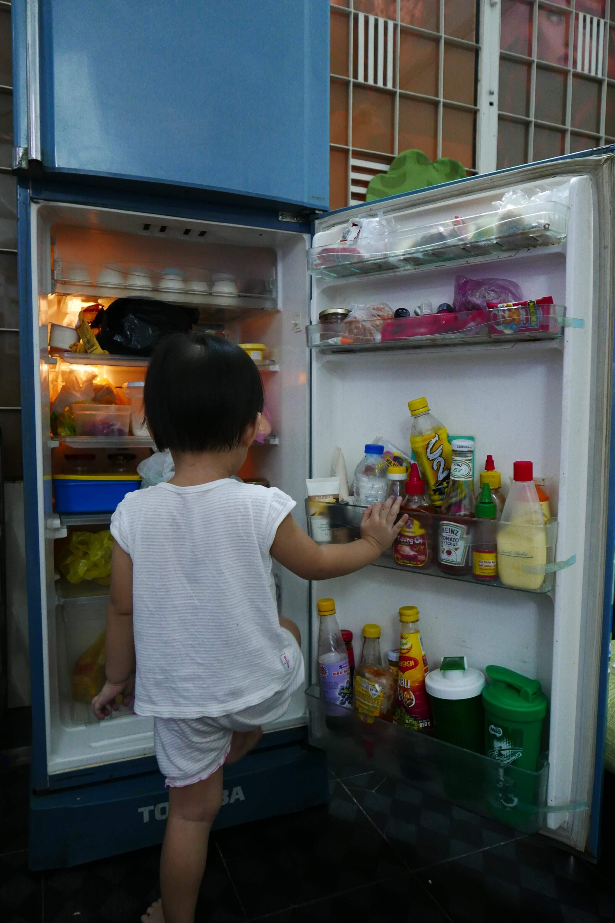 P1130165.JPG