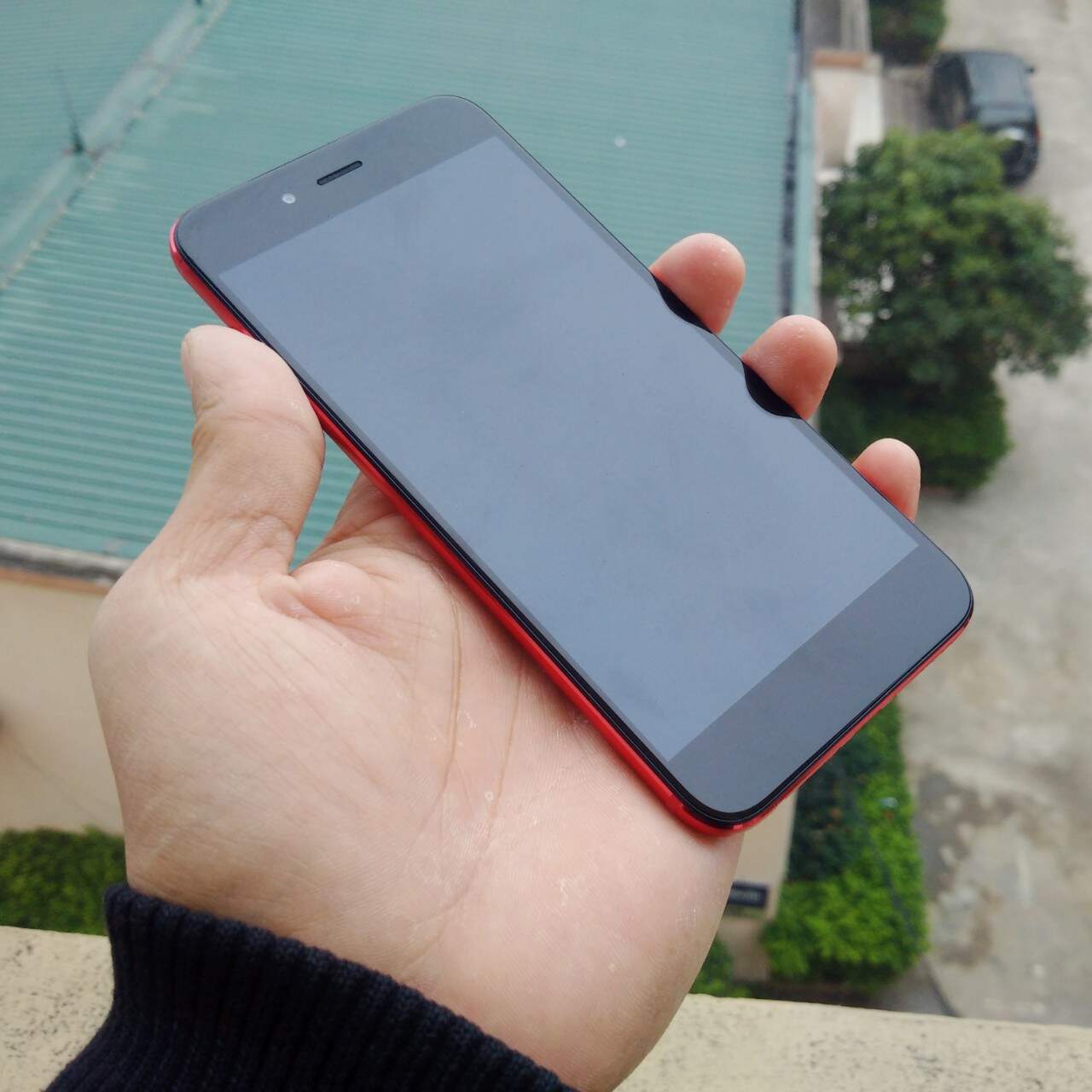 3d54ce090438eb66b229.jpg
