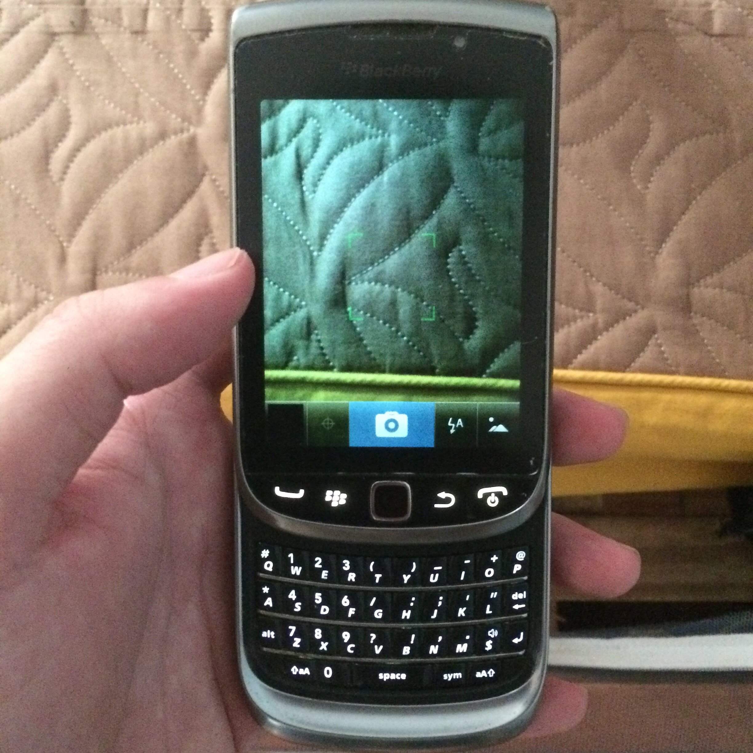 Cặp đôi Blackberry 900.000đ Nhật tảo