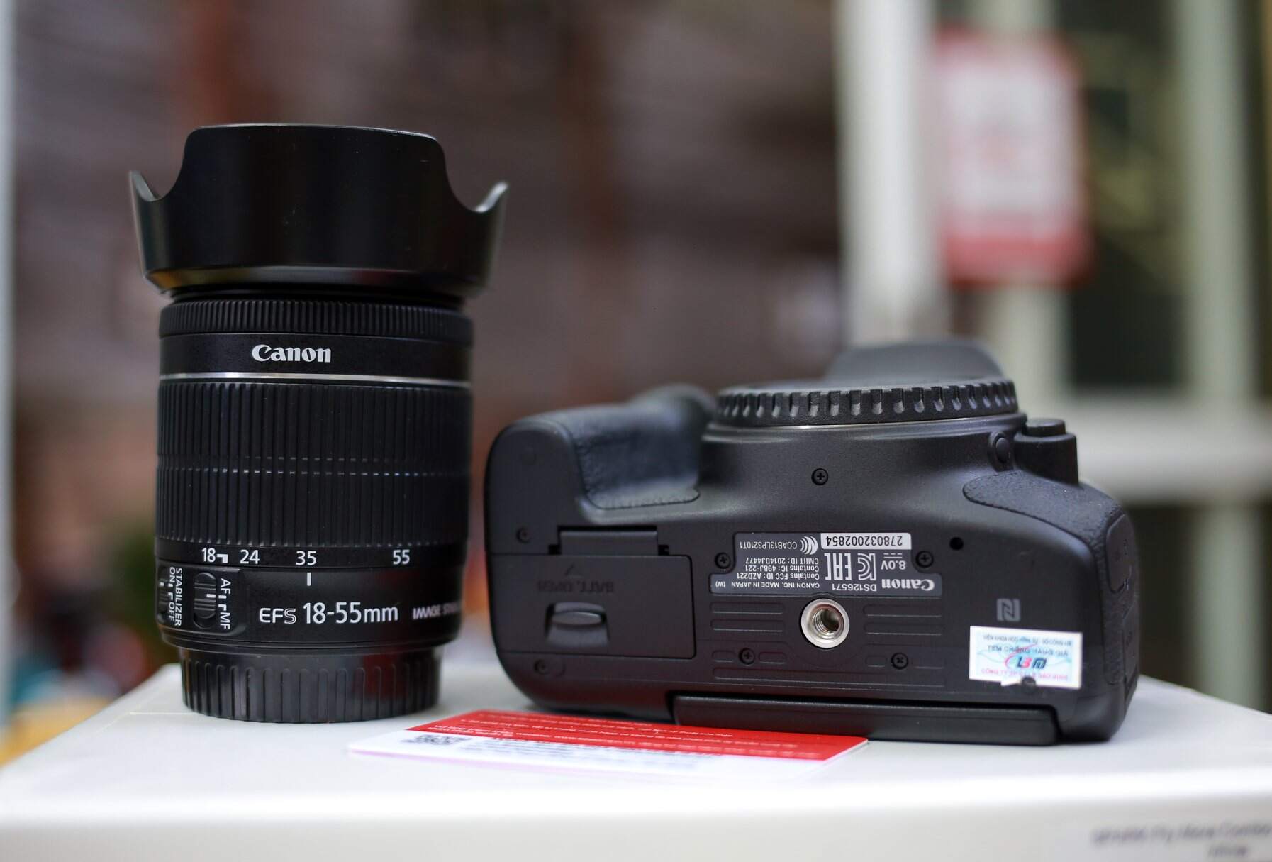 Canon 750D 3.JPG