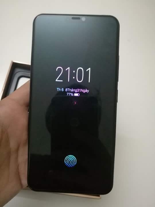 received_313522382738672.jpeg