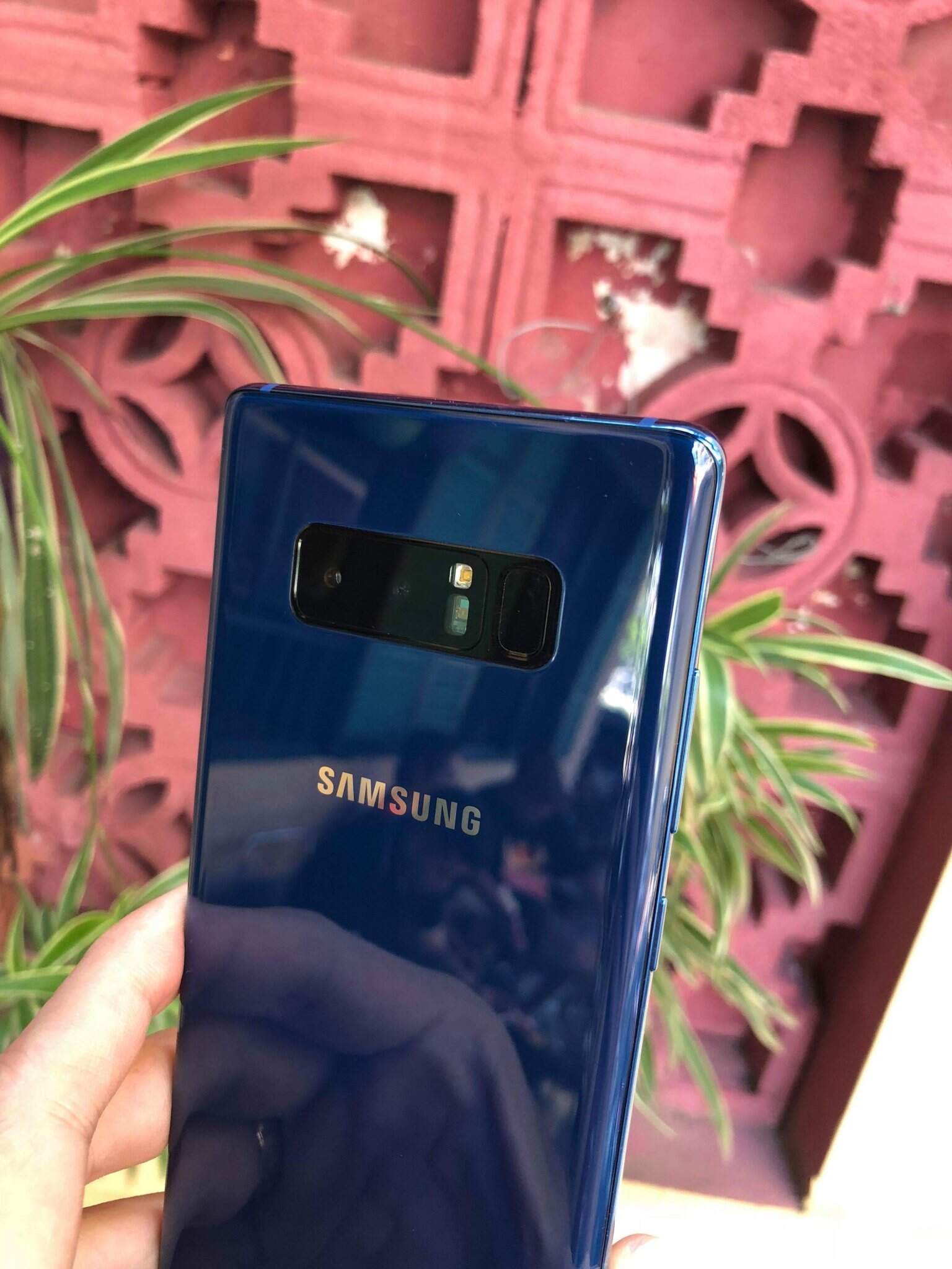 received_295076804422313.jpeg