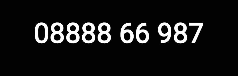 66987.jpg