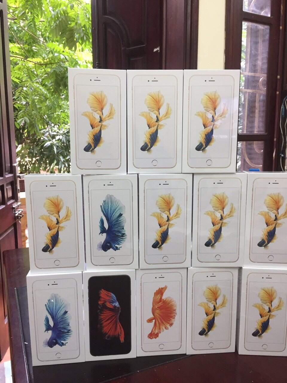 1 (14).jpg