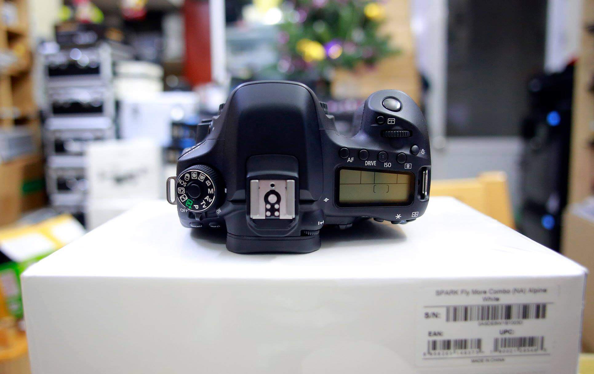 Canon 80D 3.JPG