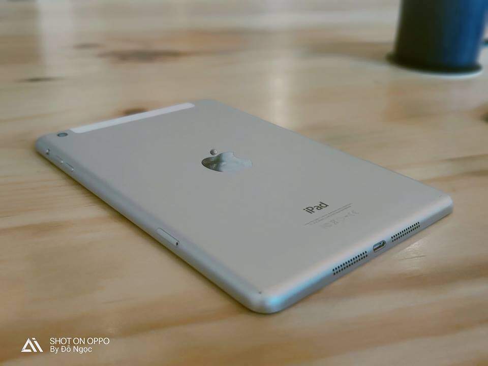 48393609_10215512686982889_1199625498674593792_n.jpg