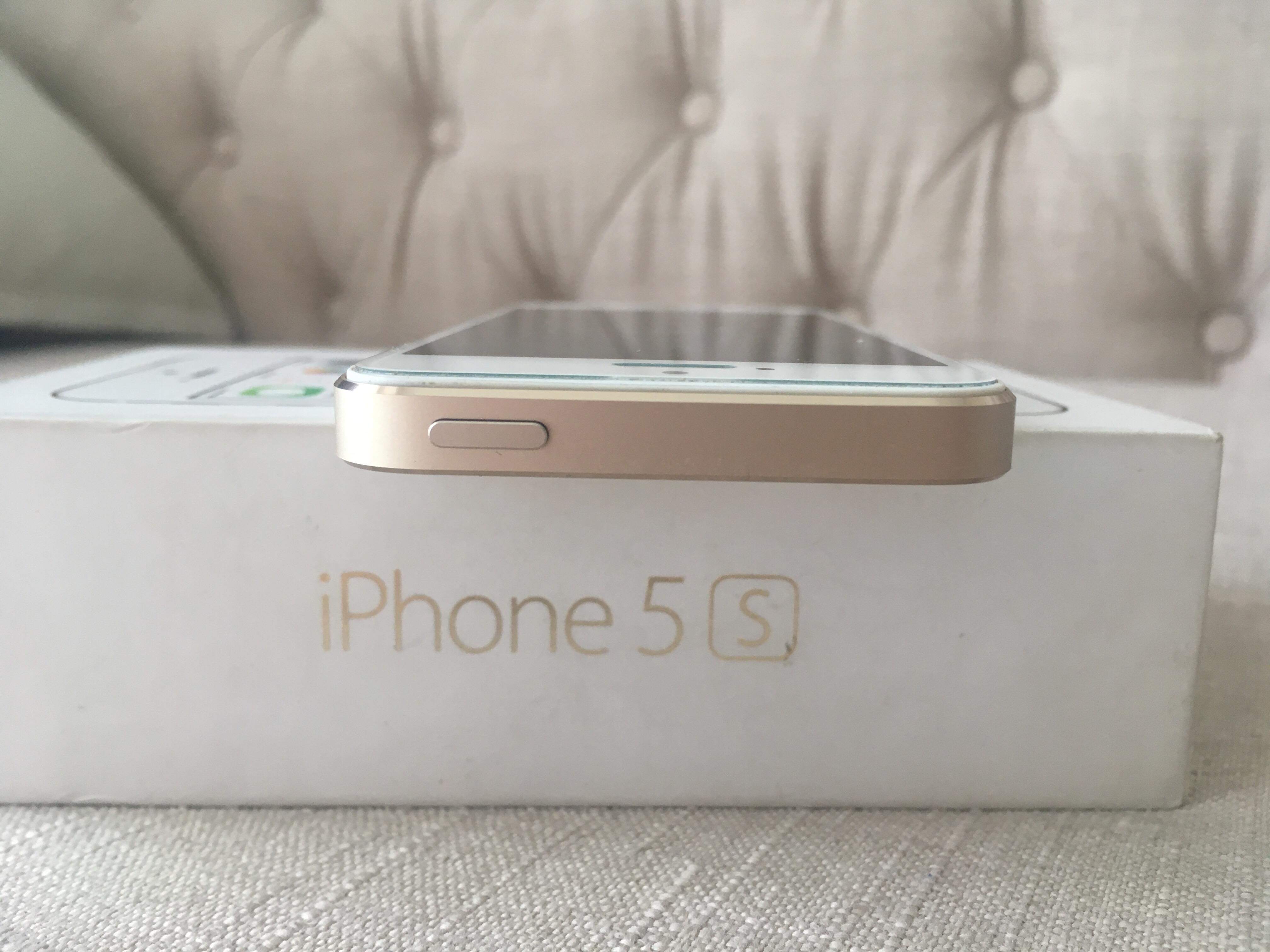 52694966_384685232111848_6072825671959183360_n.jpg