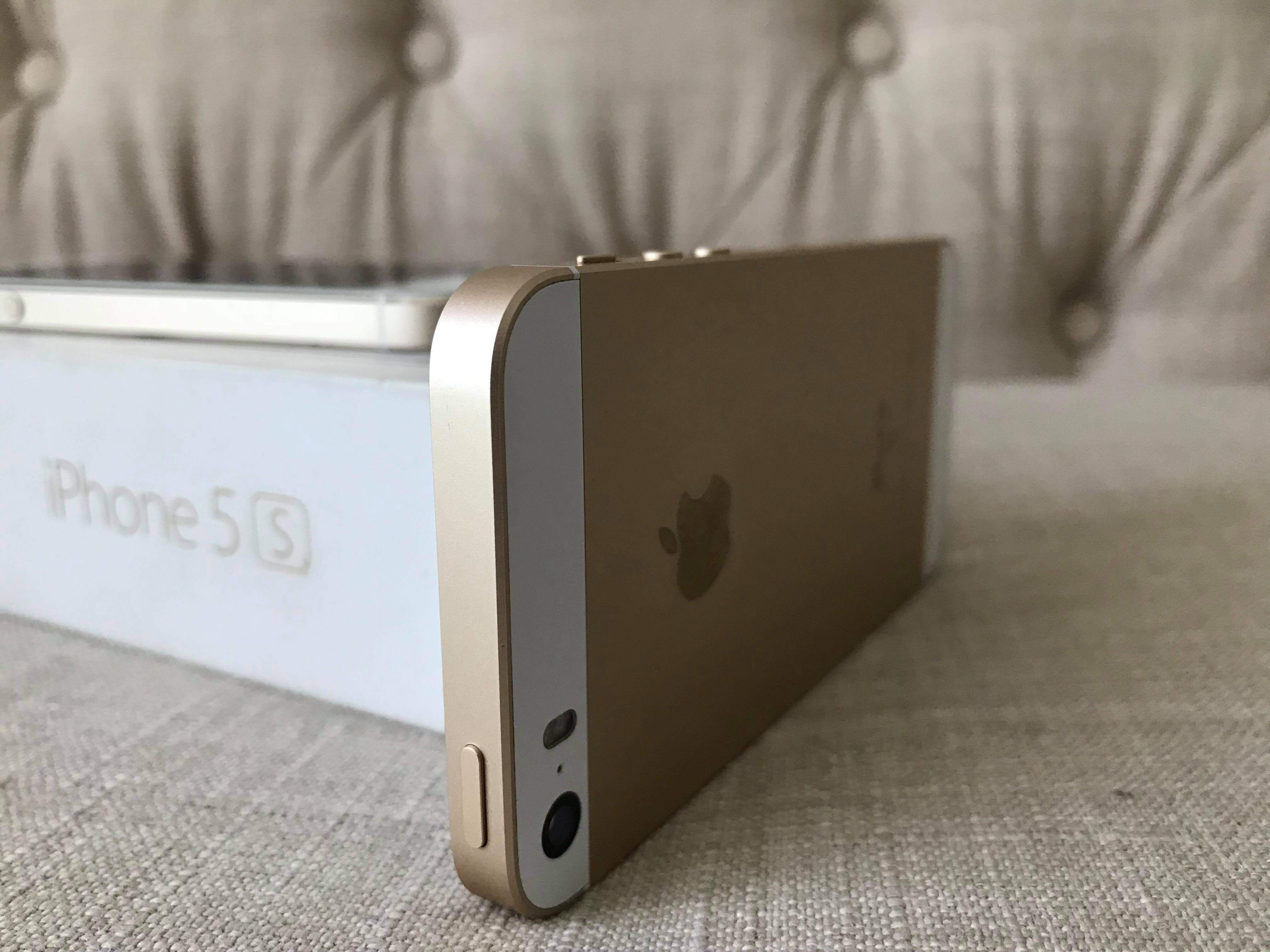 52779884_556539961524353_5470032324840128512_n.jpg