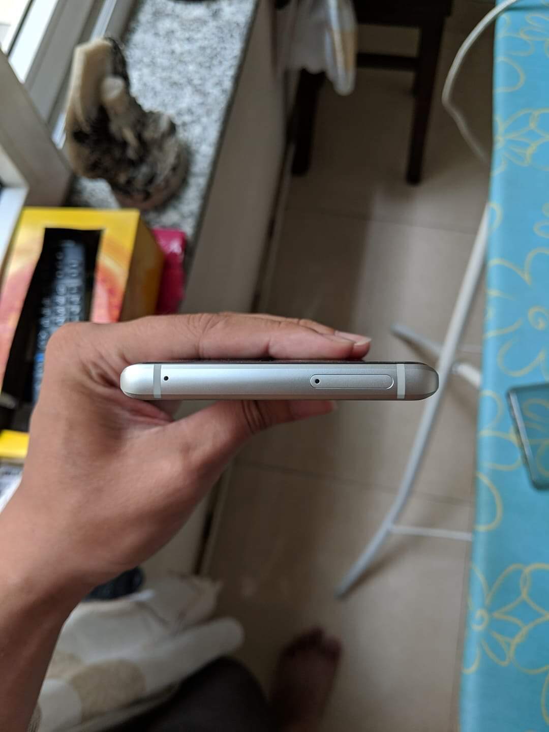 received_457150568191895.jpeg