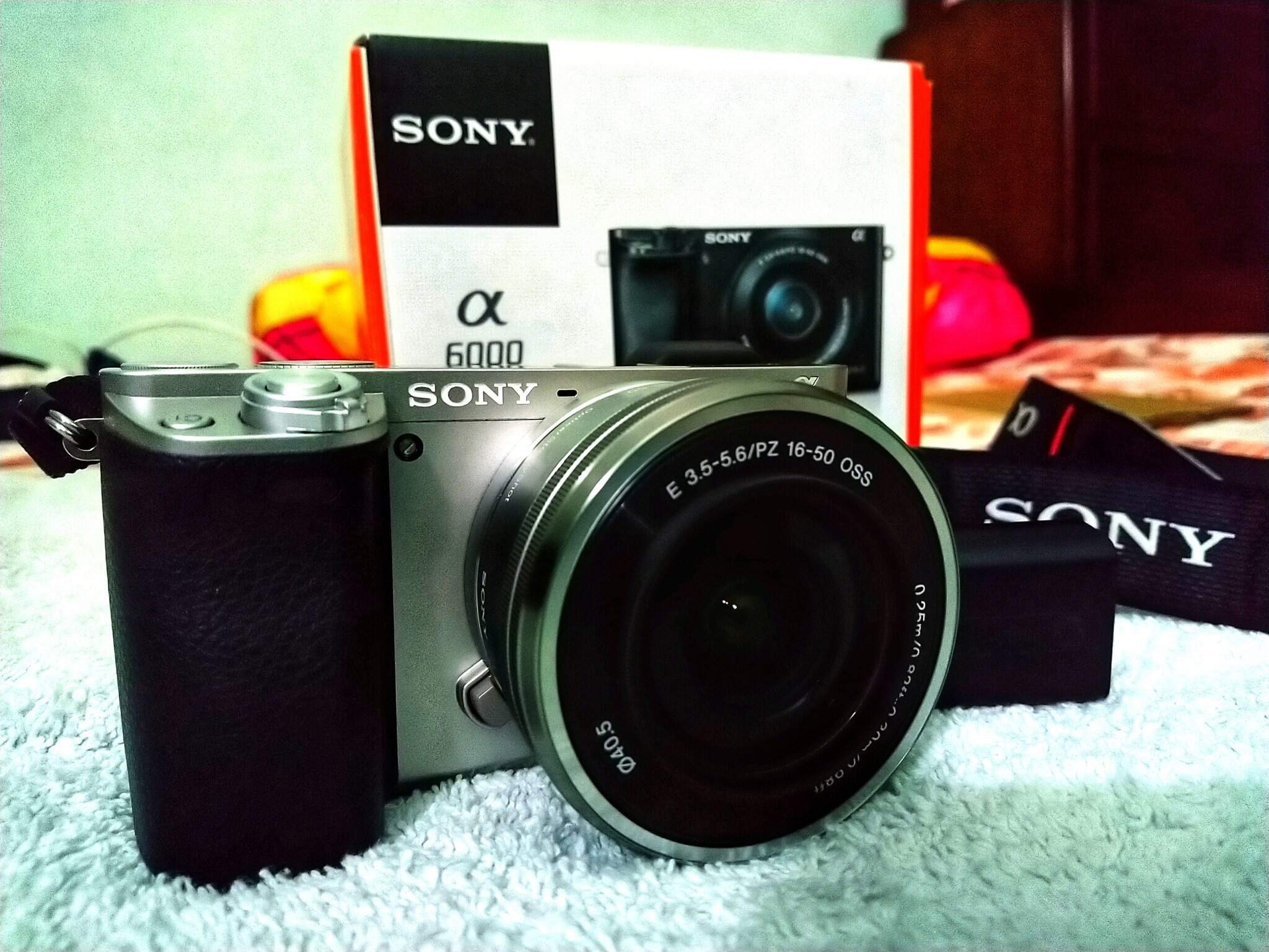 DSC_0016-01.jpeg