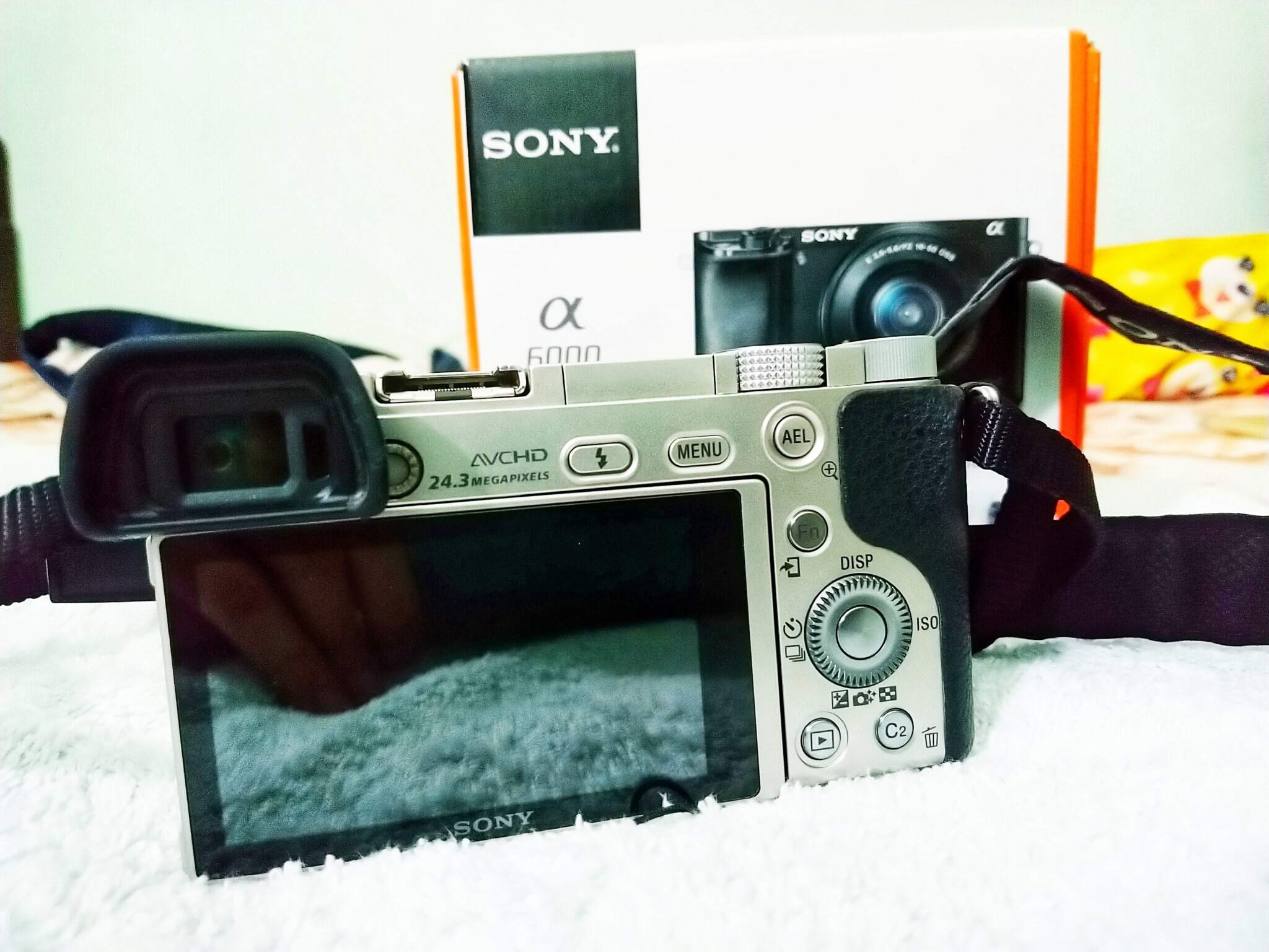 DSC_0017-01.jpeg